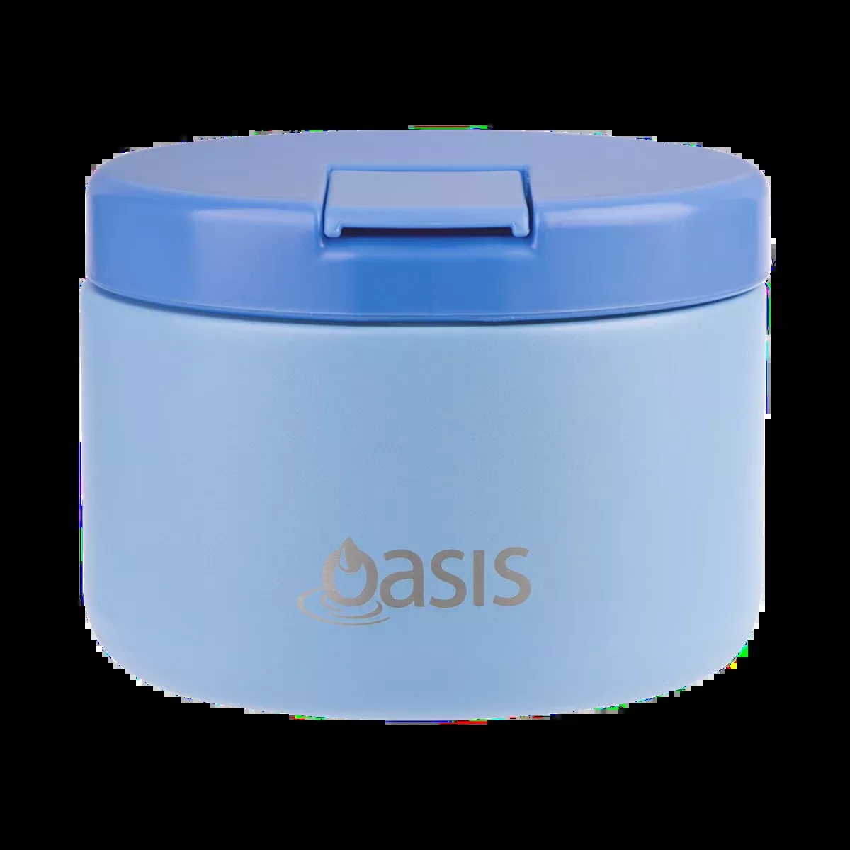 Double Wall Insulated Food Flask 300ml (Blue)