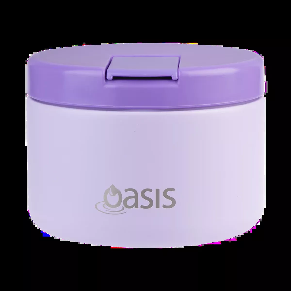 Double Wall Insulated Food Flask 300ml (Lilac)