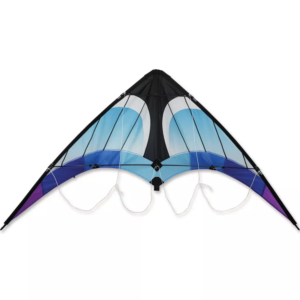 Zoomer 2.0 Sport Kite - Cool